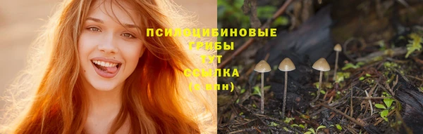 MDMA Армянск